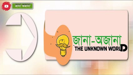 Full Meaning of MP3,MP4,WMA,DOT & many more