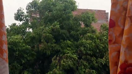 कानपुर में तेज हवा के साथ तेज बारिश