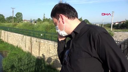 Düzce'de derede balık ölümleri