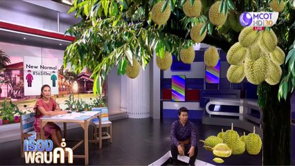 เรื่องพลบค่ำ (ช่วง 1) วันพุธที่ 13 พฤษภาคม 2563