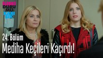 Mediha keçileri kaçırdı! - İlişki Durumu Karışık 24. Bölüm