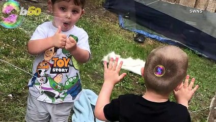 Take a Look at This Cute Toddler Neighbors Playdate Through a Hole in a Fence