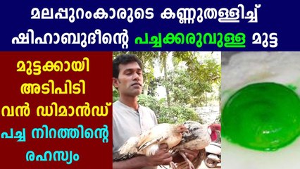 Télécharger la video: Green Egg in Malappuram: Senior official collects details | Oneindia Malayalam