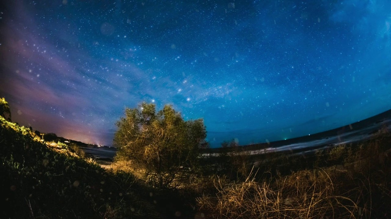 Lonely Tree - 38107 आपने आज तक ऐसा नैसर्गिक दृश्य नहीं देखा होगा
