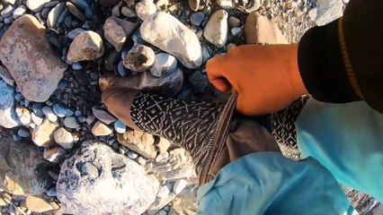 Balochistan Ka Wo Ilaqa Jaha Par Free Tail Milta Hai