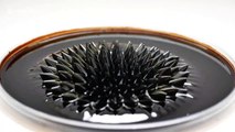 Ukrainian YouTuber creates bizarre spiked structures out of magnetic fluid