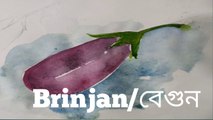 How to draw brinjal stap by stap /Water colour