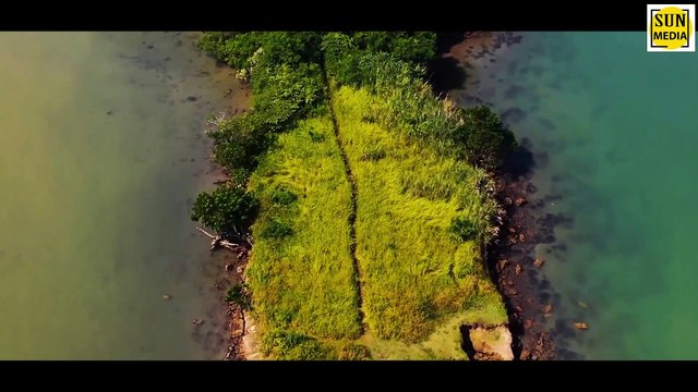 Snake island brazil - the deadliest place on earth