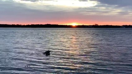 Stunning sunrise over lake