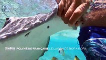 Polynésie Française : Le lagon de Bora-Bora