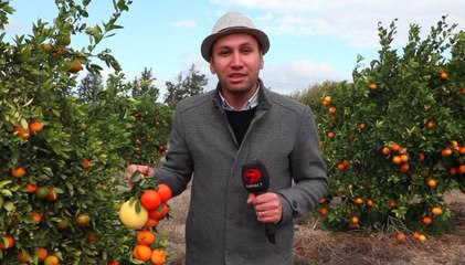 Dünyanın Tadı - Kıbrıs 2 - 13 Ocak 2018