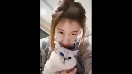 Try_not_to_laugh_-_Funny_cat_reaction_to_Face_Changing_App(360p)