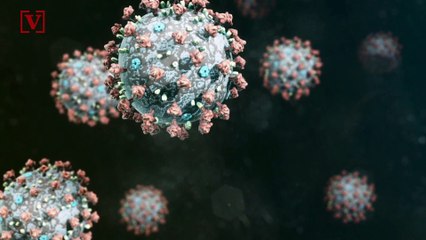 Federal Officials Cautions States That Online Voting is a ‘High Risk’