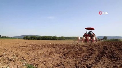 Ata tohumları toprakla buluşuyor