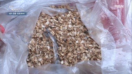 한껏 자연 친화적인 자연인 표 씨뿌리기