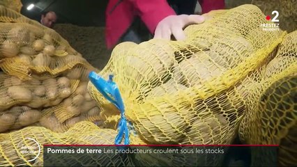 Pomme de terre : les producteurs croulent sous les stocks
