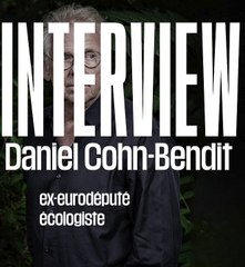 Daniel Cohn-Bendit sur la Cour de Karlsruhe