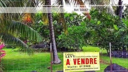 A vendre terrain de 3522M2 en Bord de route Papara (Zone urbaine-Idéal commerce)