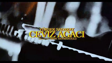 Yüksek Sadakat - Ceviz Ağacı