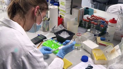 Corrida por vacina para Covid-19 se acelera