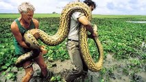 दुनिया के 5 सबसे बड़े जानवर Biggest animal in the world in hindi