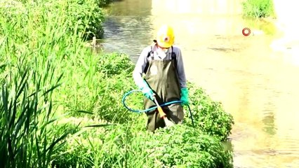 Samsun Büyükşehir'den 'haşere' ilaçlaması