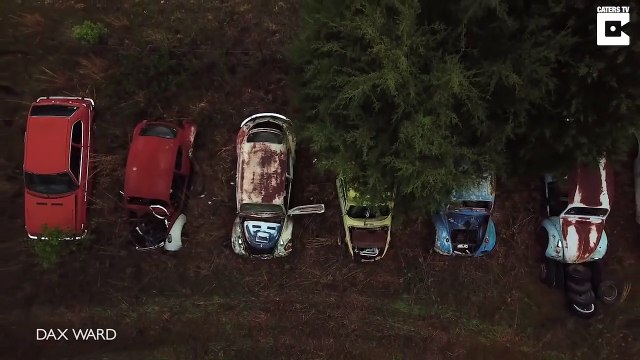 Cette foret renferme des centaines d'épaves de voitures abandonnées