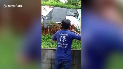 Thai rescuers save cat trapped on railings for whole night