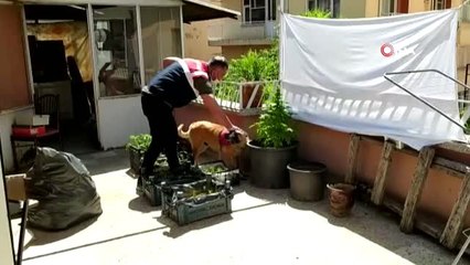 Müzisyen şahsın evine uyuşturucu baskını