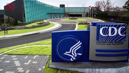 Document Shows White House’s Plan to Reopen Country is Less Restrictive Than CDC’s Guidelines