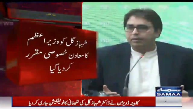 Dr Shahbaz Gill appointed as Special Assistant to PM on political communication