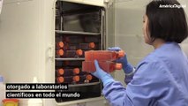Así va la carrera por la vacuna contra el coronavirus en el mundo