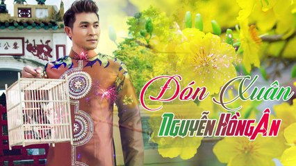 Đón Xuân - Nguyễn Hồng Ân - Nhạc Xuân Mậu Tuất, Nhạc Tết 2019