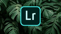 lightroom editing in mobile 2020 and also snapseed new editing tutorial 2020  || lightroom orange color editing