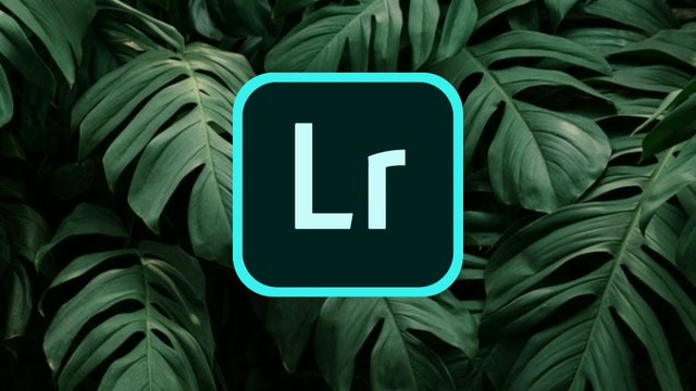 lightroom editing in mobile 2020 and also snapseed new editing tutorial 2020 || lightroom orange color editing