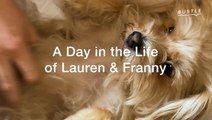 A Day with Lauren Lapkus & Her Dog Franny