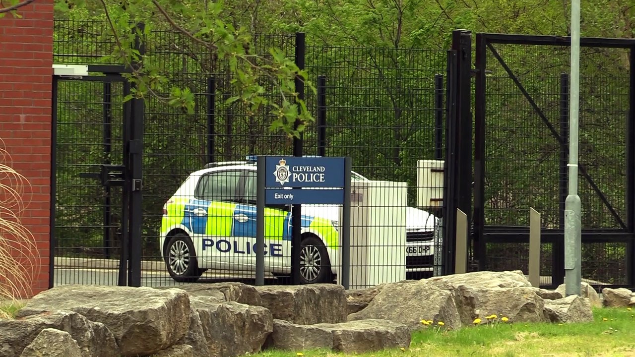 Police in the pandemic