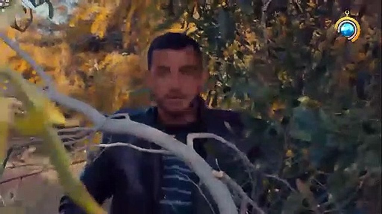 مسلسل حبر النار الحلقة 7 بعنوان _عيون الحرامية_