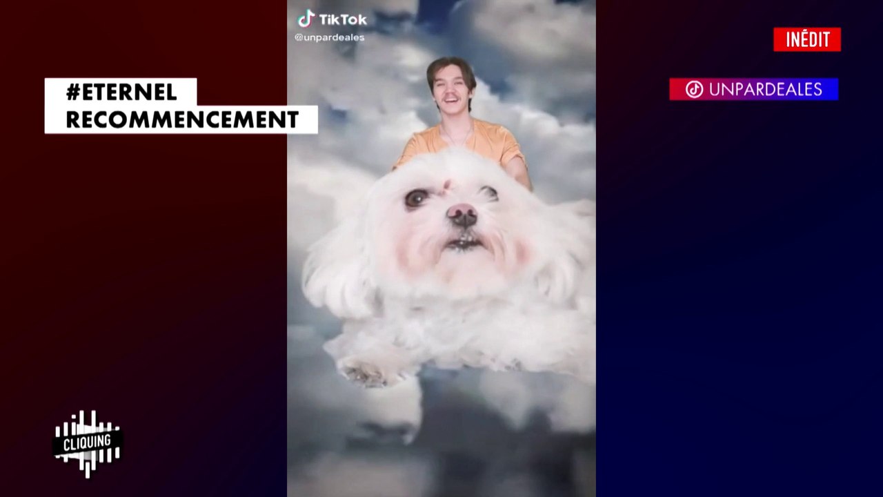 Le Cliquing du 13 mai - Clique - CANAL+