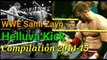 WWE Sami Zayn Helluva kick compilation 2014-15