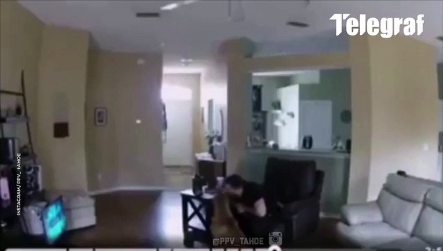 Psi nisu ljudi Pokušao da poljubi pita u usta ovaj ga umalo preklao