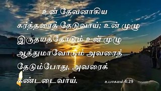 Today bible reading in Tamil #உபாகமம் 4 29