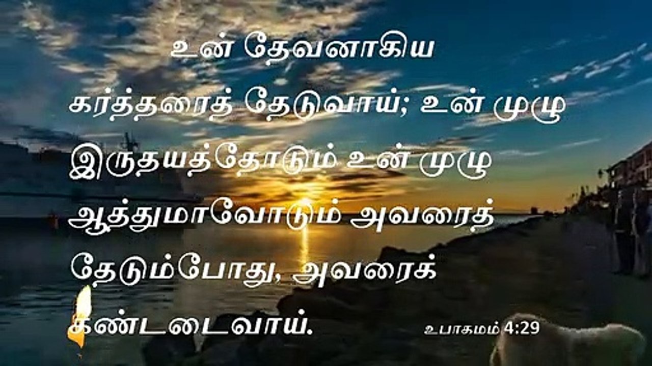 Today bible reading in Tamil #உபாகமம் 4 29