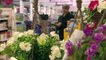 Britons queue at newly reopened garden centres