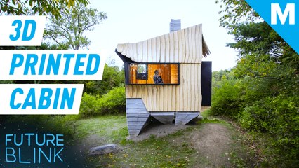 This 3D printed cabin is made from dying ash trees — Future Blink