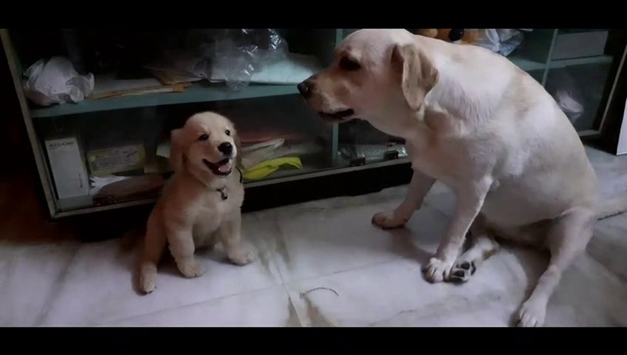 Fights between Jessy and Bonnie | Jessy showed great friendly attitude and never fought with Bonnie