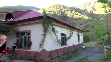 Evini hayvanat bahçesine çevirdi