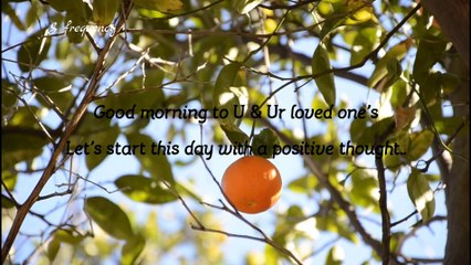 Positive Vibes: 2020-5-14 (Get Romantic, Thursday): Smile..