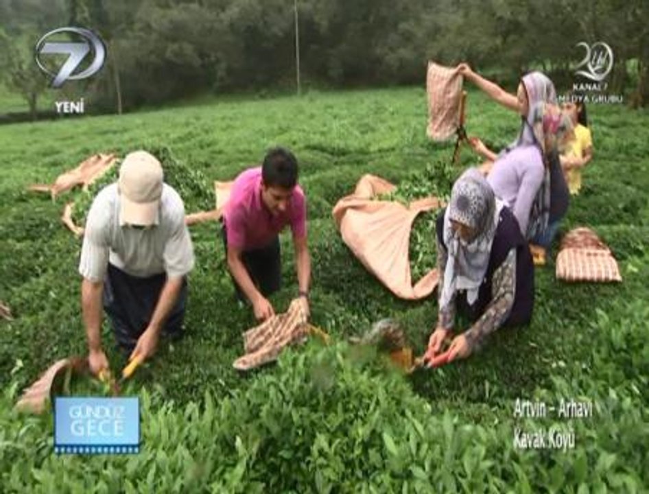 GÜNDÜZ GECE - ARTVİN