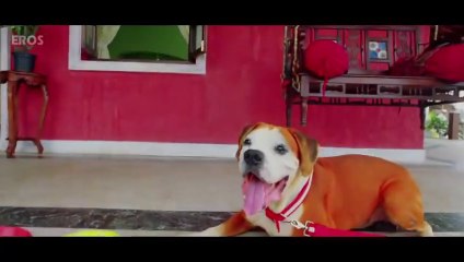 मिथुन चक्रवर्ती के पीछे वाले हिस्से पर कुत्ते ने काटा